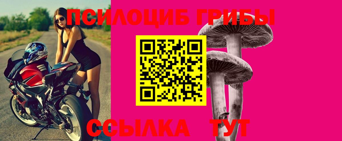Псилоцибиновые грибы мицелий  Вход с VPN  Чайковский  Галлюциногенные грибы Psilocybe 